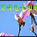 04月27日 英超第35輪 曼聯(lián)vs伯恩利 片段