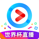 大发手机版appV4.5.9