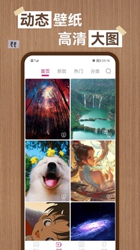 雷电竞app官方版下载截圖2